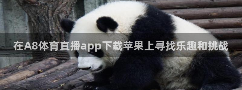 nba免费直播在线直播说球帝：在A8体育直播app下载苹果上寻找乐趣和挑战