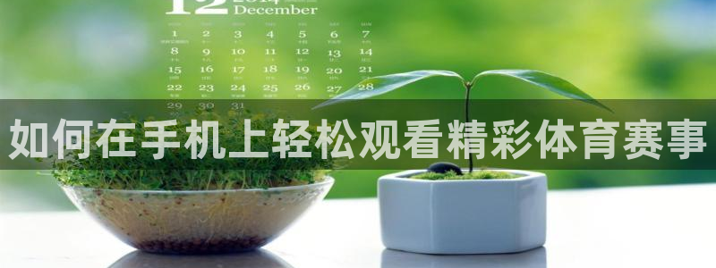 说球帝快直播：如何在手机上轻松观看精彩体育赛事