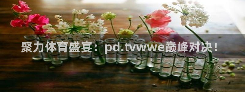 nba免费直播在线直播说球帝：聚力体育盛宴：pd.tvwwe巅峰对决！