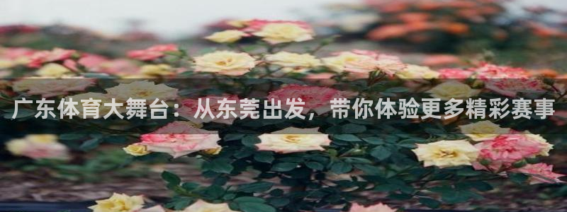 说球帝nba直播在线观看：广东体育大舞台：从东莞出发，带你体验更多精彩赛事
