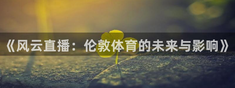 说球帝.：《风云直播：伦敦体育的未来与影响》
